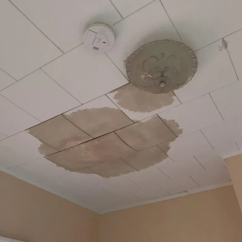 Ceiling Water Damage Repair in Treasure County, MT