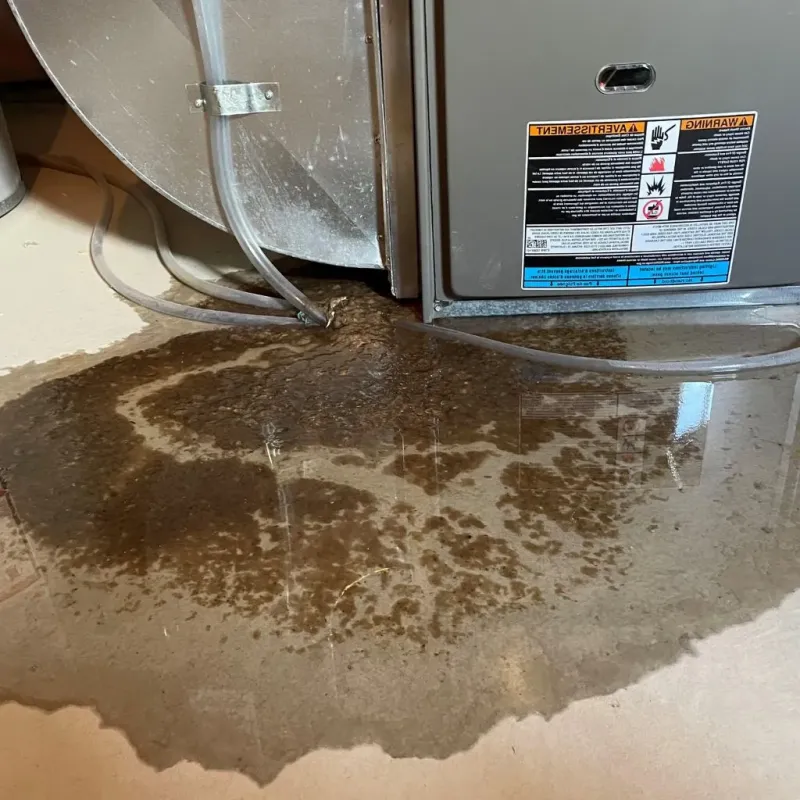Pipe Burst and Leak Restoration in Treasure County, MT